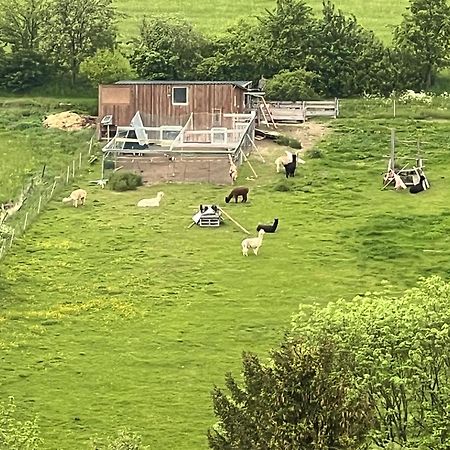 Gemuetliche 3-Zimmer-Wohnung Mit Panoramablick Und Kostenlosem Ueberdachten Parkplatz Winterberg Extérieur photo